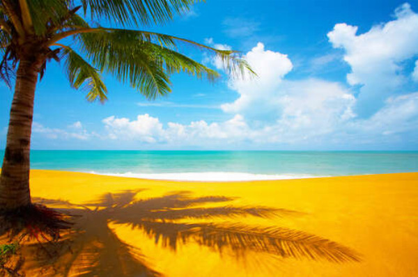Золотой тропический пляж