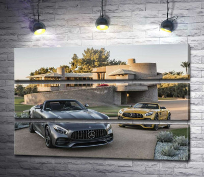 Модульная картина "Люксовые автомобили Mercedes-Benz AMG GT на заднем дворе виллы"