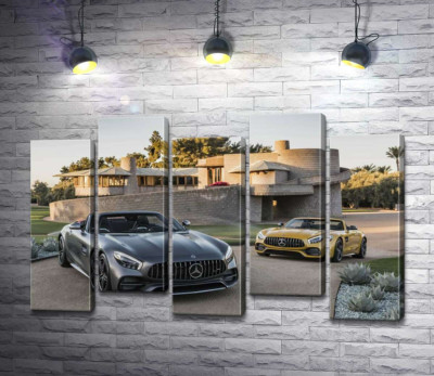 Люксові автомобілі Mercedes-Benz AMG GT на задньому дворі вілли