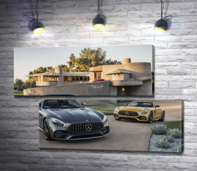 Люксові автомобілі Mercedes-Benz AMG GT на задньому дворі вілли