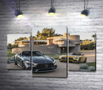 Модульная картина "Люксовые автомобили Mercedes-Benz AMG GT на заднем дворе виллы"