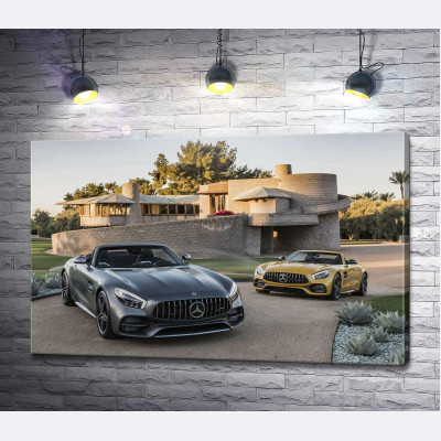Люксові автомобілі Mercedes-Benz AMG GT на задньому дворі вілли