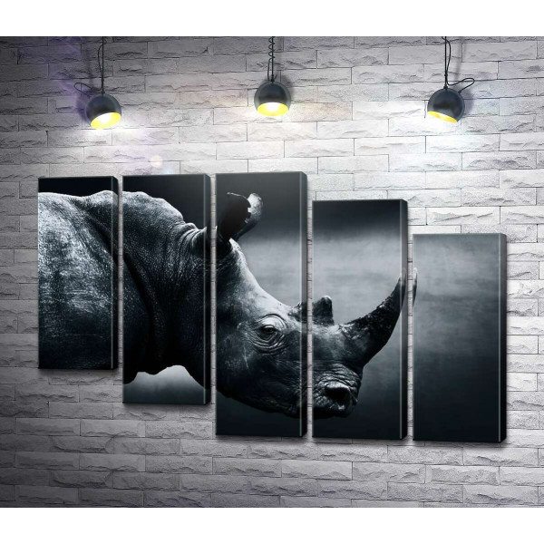 Черно-белый портрет носорога