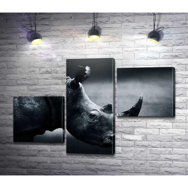 Черно-белый портрет носорога
