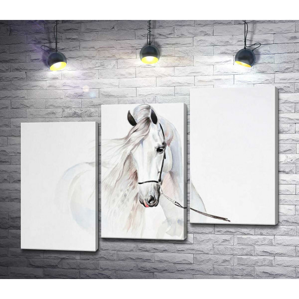 Напівпрозорий образ білого коня
