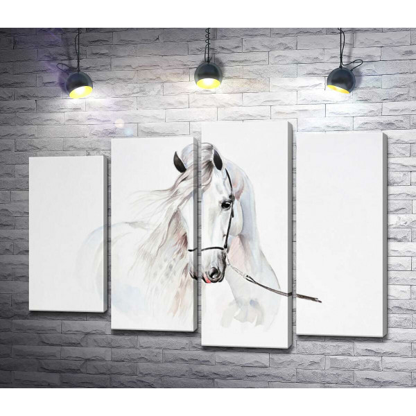 Напівпрозорий образ білого коня