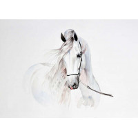 Полупрозрачный образ белой лошади
