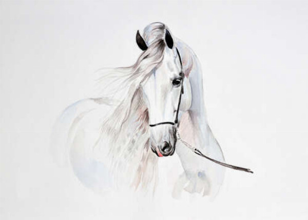 Полупрозрачный образ белой лошади