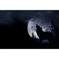 Силуэт волка на фоне полной луны