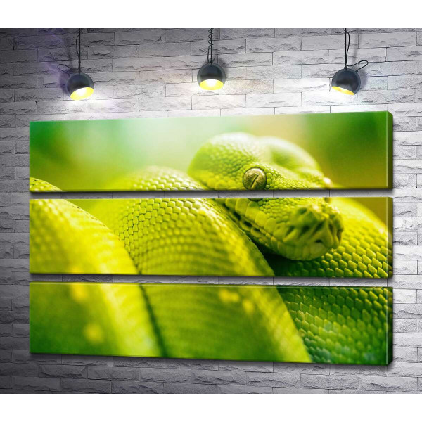 Яскраво-зелена гримуча змія