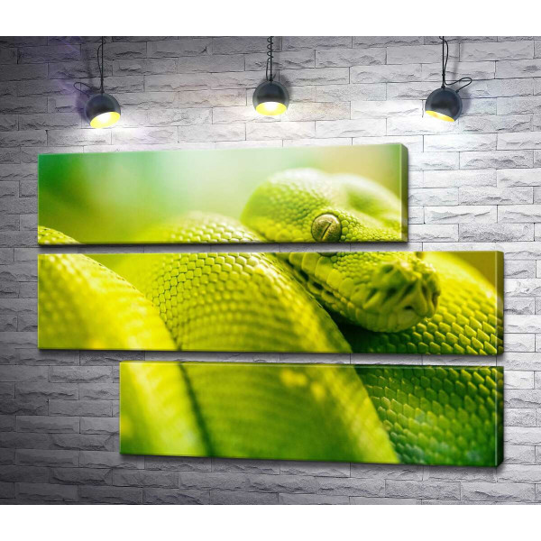Ярко-зеленая гремучая змея