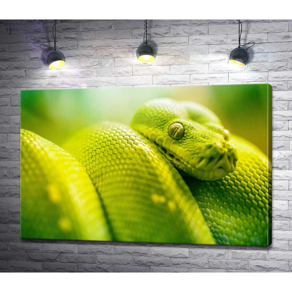 Яскраво-зелена гримуча змія