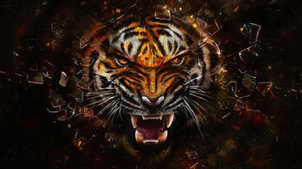 Разъяренная морда тигра и осколки стекла