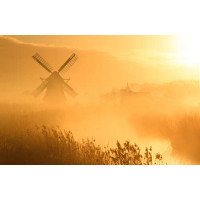 Ветряная мельница в утренней дымке тумана