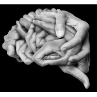 Кисті рук переплетені у вигляді мозку