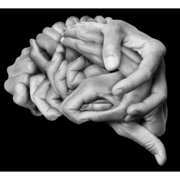Кисті рук переплетені у вигляді мозку