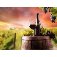 Красное вино на фоне виноградника