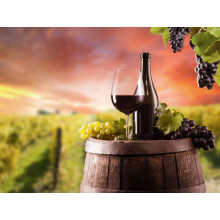 Красное вино на фоне виноградника