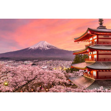 Гора Фудзі та пагода потопають у квітах сакури