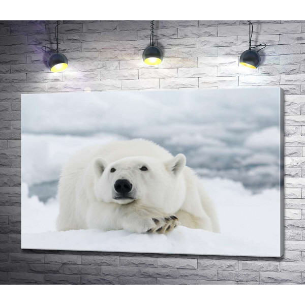 Белый медведь отдыхает на снегу