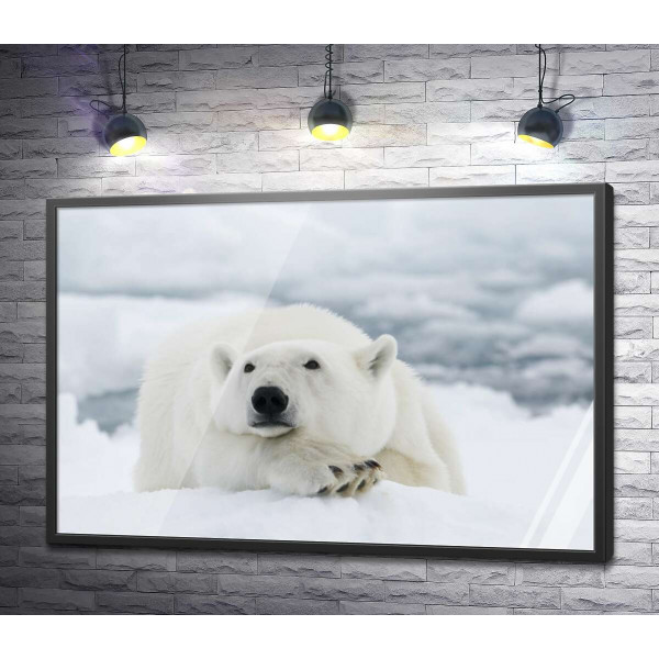 Білий ведмідь відпочиває на снігу
