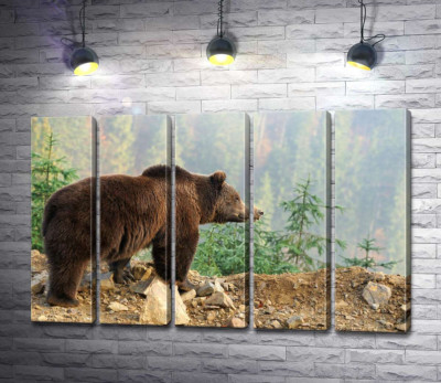 Модульная картина "Бурый медведь задумчиво глядит со склона горы"