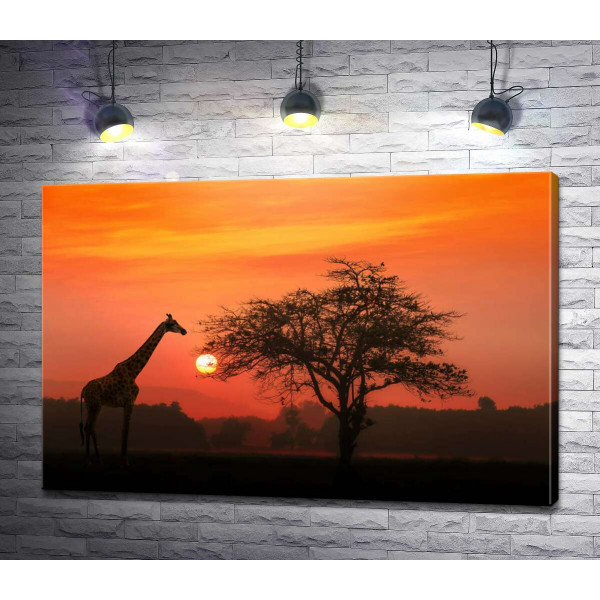 Жираф возле дерева в саванне на закате