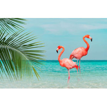 Два розовых фламинго на берегу океана
