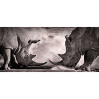 Носороги перед сутичкою