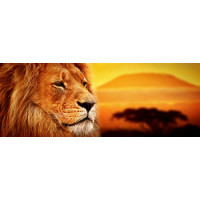 Величественный лев на фоне саванны