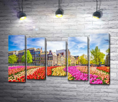 Модульна картина "Поле тюльпанів на тлі акуратних будиночків"