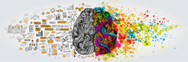 Техническая и творческая сторона мозга