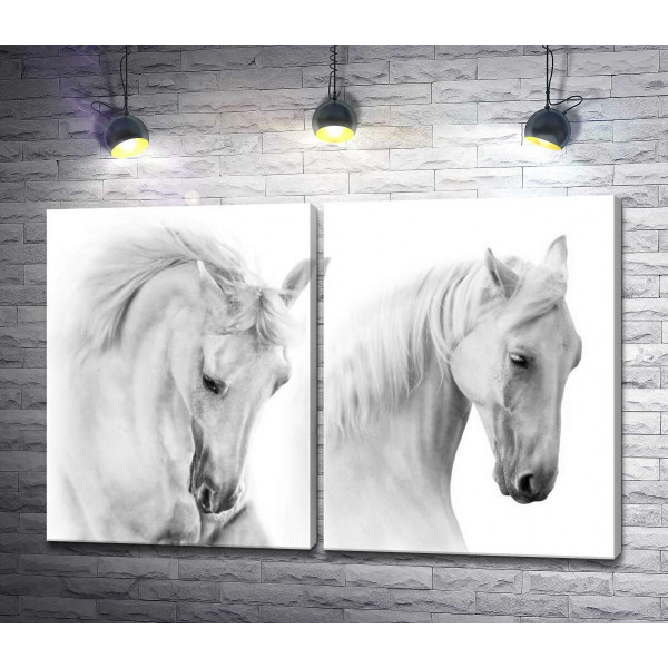 Два белых грациозных коня