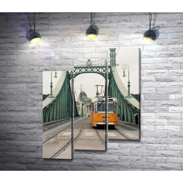Одинокий трамвай проезжает по мосту