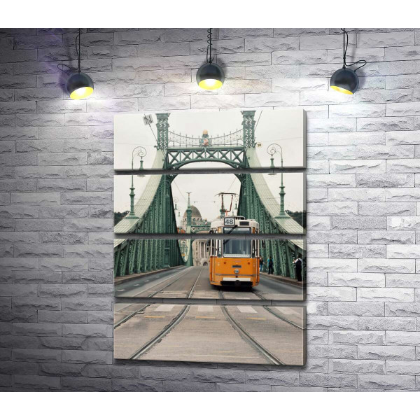 Самотній трамвай проїжджає мостом