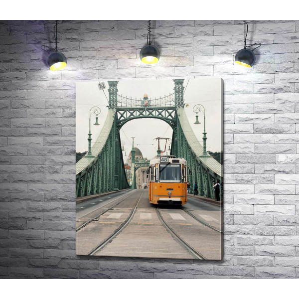 Одинокий трамвай проезжает по мосту
