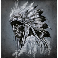 Портрет пожилого индейца