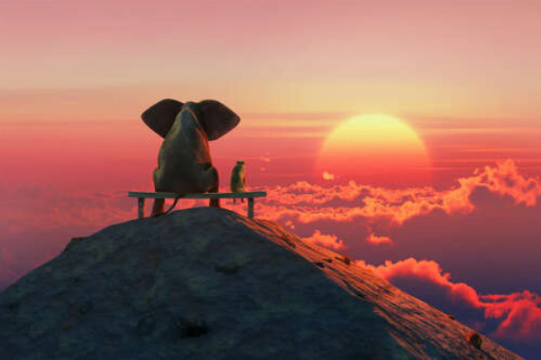 Слон і собака на лавці, що дивляться на захід сонця
