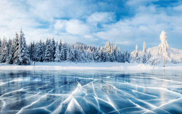 Замерзлі озера на тлі соснового лісу