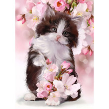 Милый котенок в цветах яблони