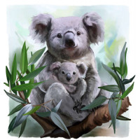 Затишна коала з дитинчатою на гілці