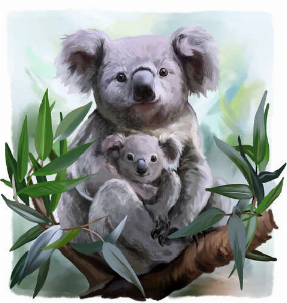 Затишна коала з дитинчатою на гілці