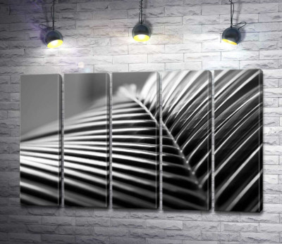 Модульна картина "Сріблясте пальмове листя"