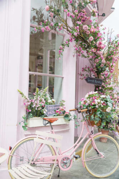 Рожевий велосипед біля затишного фасаду з квітами