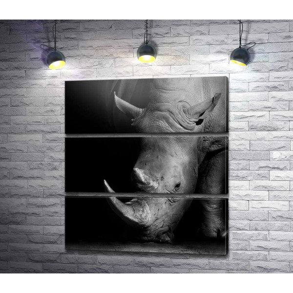 Мощный носорог в темных тонах