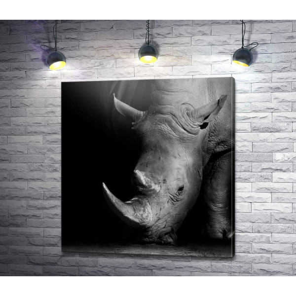 Мощный носорог в темных тонах