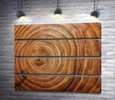 Модульная картина "Кольца дерева в разрезе"