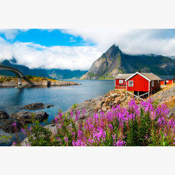 Живописный норвежский пейзаж с домиками