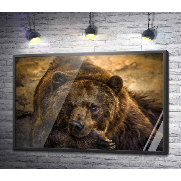 Портрет отдыхающего медведя