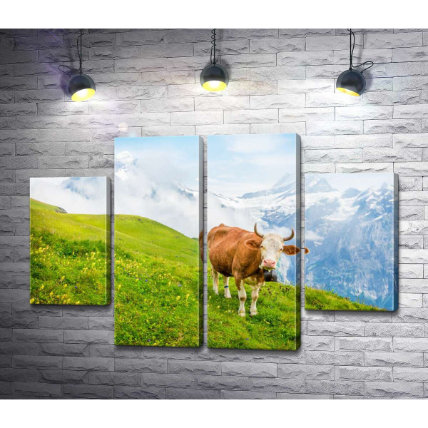 Корова на сочно-зеленом лугу на фоне гор